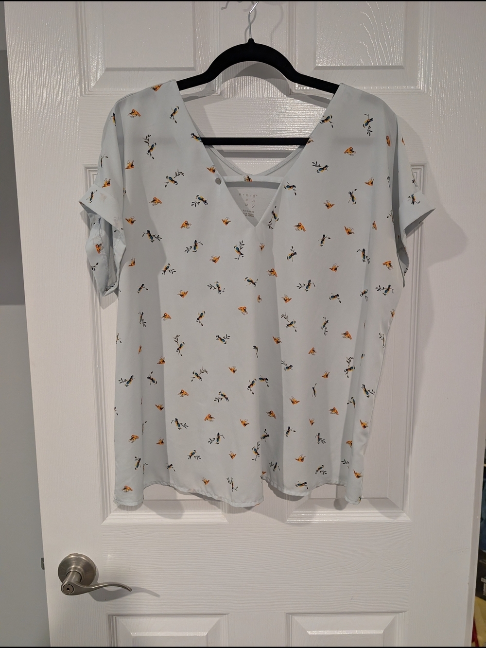 A. New. Day Light Blue Bird Print V-Neck Short Sleeve Blouse in Size XXL